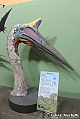 VBS_0859 - Dinosauri. Terra dei giganti